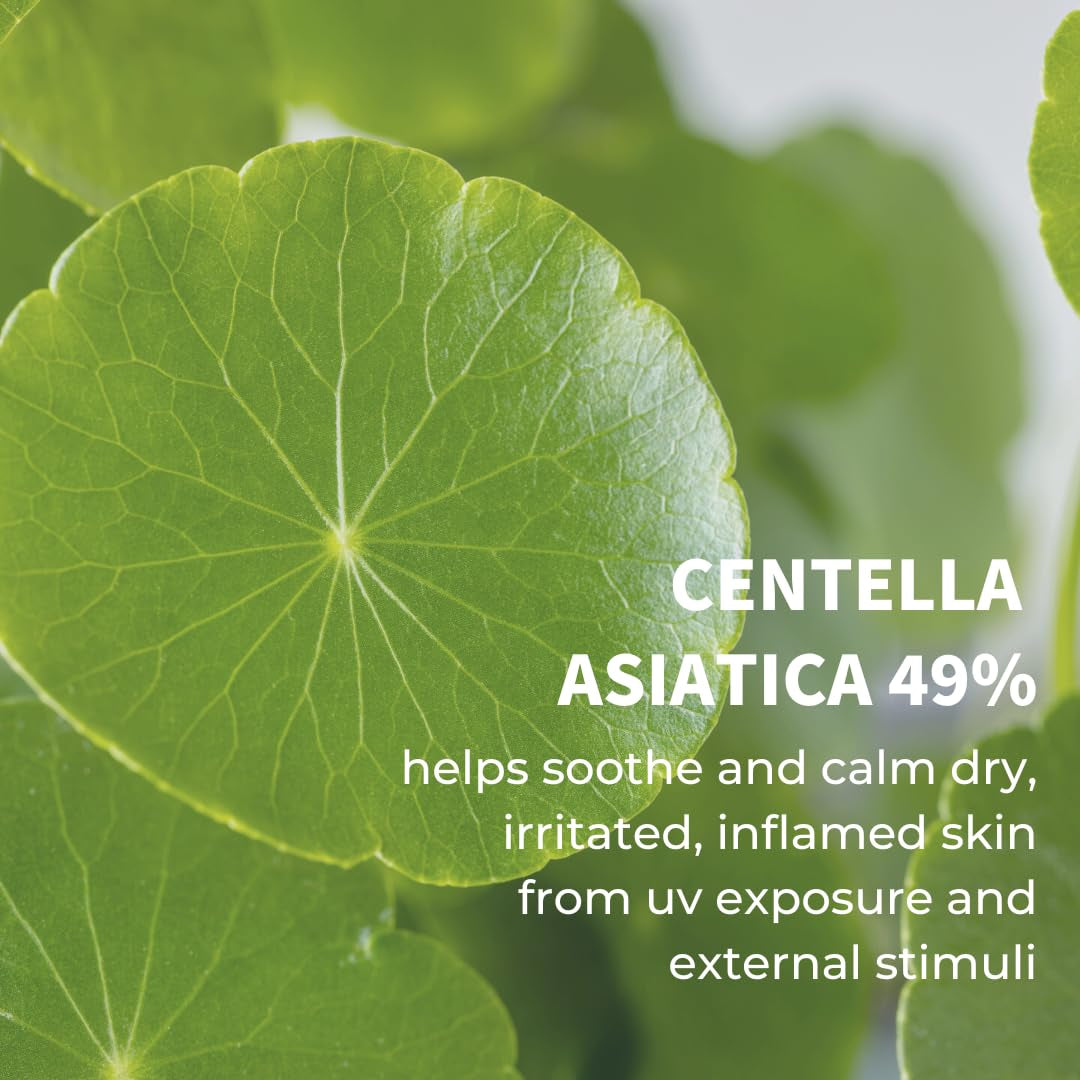 iUNIK | Centella Calming Daily Sunscreen SPF 50+ PA++++ | 2 × 60 mL